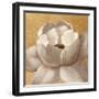 Sunset Flower II on Gold-Silvia Vassileva-Framed Art Print