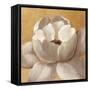 Sunset Flower II on Gold-Silvia Vassileva-Framed Stretched Canvas