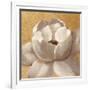 Sunset Flower II on Gold-Silvia Vassileva-Framed Art Print