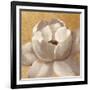 Sunset Flower II on Gold-Silvia Vassileva-Framed Art Print