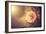 Sunset Flower-Alexey Rumyantsev-Framed Photographic Print