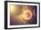 Sunset Flower-Alexey Rumyantsev-Framed Photographic Print