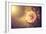 Sunset Flower-Alexey Rumyantsev-Framed Photographic Print