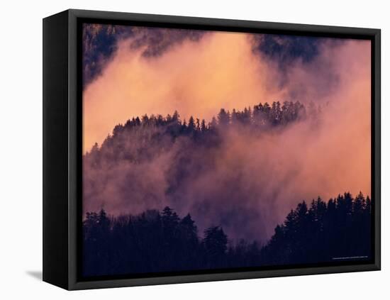 Sunset Fog in Valley, Morton Overlook, Great Smoky Mountains National Park, Tennessee, USA-Adam Jones-Framed Stretched Canvas