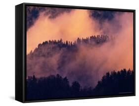 Sunset Fog in Valley, Morton Overlook, Great Smoky Mountains National Park, Tennessee, USA-Adam Jones-Framed Stretched Canvas