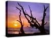 Sunset Framed by Driftwood, Cape Meares, Oregon, USA-Jaynes Gallery-Stretched Canvas