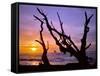 Sunset Framed by Driftwood, Cape Meares, Oregon, USA-Jaynes Gallery-Framed Stretched Canvas