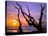 Sunset Framed by Driftwood, Cape Meares, Oregon, USA-Jaynes Gallery-Stretched Canvas