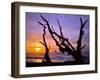 Sunset Framed by Driftwood, Cape Meares, Oregon, USA-Jaynes Gallery-Framed Premium Photographic Print