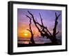 Sunset Framed by Driftwood, Cape Meares, Oregon, USA-Jaynes Gallery-Framed Premium Photographic Print