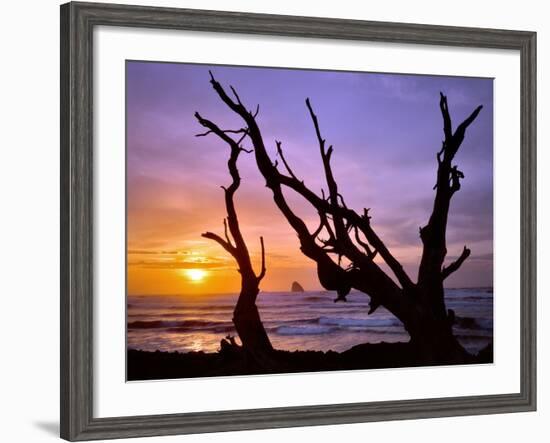 Sunset Framed by Driftwood, Cape Meares, Oregon, USA-Jaynes Gallery-Framed Photographic Print