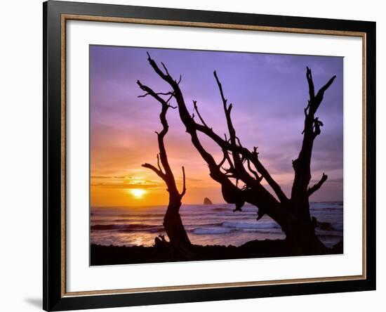 Sunset Framed by Driftwood, Cape Meares, Oregon, USA-Jaynes Gallery-Framed Photographic Print