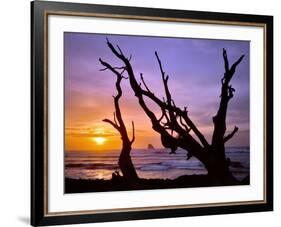 Sunset Framed by Driftwood, Cape Meares, Oregon, USA-Jaynes Gallery-Framed Photographic Print