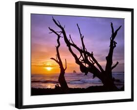 Sunset Framed by Driftwood, Cape Meares, Oregon, USA-Jaynes Gallery-Framed Photographic Print