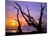 Sunset Framed by Driftwood, Cape Meares, Oregon, USA-Jaynes Gallery-Mounted Photographic Print