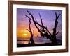 Sunset Framed by Driftwood, Cape Meares, Oregon, USA-Jaynes Gallery-Framed Photographic Print