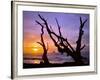 Sunset Framed by Driftwood, Cape Meares, Oregon, USA-Jaynes Gallery-Framed Photographic Print