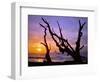 Sunset Framed by Driftwood, Cape Meares, Oregon, USA-Jaynes Gallery-Framed Photographic Print