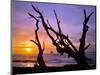 Sunset Framed by Driftwood, Cape Meares, Oregon, USA-Jaynes Gallery-Mounted Photographic Print