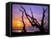 Sunset Framed by Driftwood, Cape Meares, Oregon, USA-Jaynes Gallery-Framed Stretched Canvas