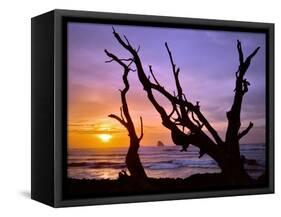 Sunset Framed by Driftwood, Cape Meares, Oregon, USA-Jaynes Gallery-Framed Stretched Canvas