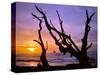 Sunset Framed by Driftwood, Cape Meares, Oregon, USA-Jaynes Gallery-Stretched Canvas