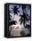 Sunset Framed by Palms, Patong, Phuket, Thailand, Southeast Asia, Aisa-Ruth Tomlinson-Framed Stretched Canvas