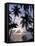 Sunset Framed by Palms, Patong, Phuket, Thailand, Southeast Asia, Aisa-Ruth Tomlinson-Framed Stretched Canvas