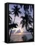 Sunset Framed by Palms, Patong, Phuket, Thailand, Southeast Asia, Aisa-Ruth Tomlinson-Framed Stretched Canvas