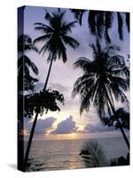 Sunset Framed by Palms, Patong, Phuket, Thailand, Southeast Asia, Aisa-Ruth Tomlinson-Stretched Canvas