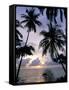 Sunset Framed by Palms, Patong, Phuket, Thailand, Southeast Asia, Aisa-Ruth Tomlinson-Framed Stretched Canvas