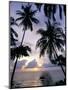 Sunset Framed by Palms, Patong, Phuket, Thailand, Southeast Asia, Aisa-Ruth Tomlinson-Mounted Photographic Print