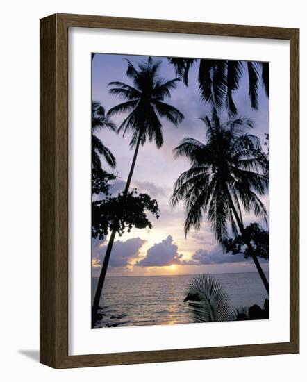Sunset Framed by Palms, Patong, Phuket, Thailand, Southeast Asia, Aisa-Ruth Tomlinson-Framed Photographic Print