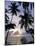 Sunset Framed by Palms, Patong, Phuket, Thailand, Southeast Asia, Aisa-Ruth Tomlinson-Mounted Photographic Print