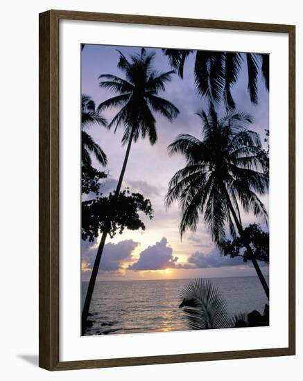 Sunset Framed by Palms, Patong, Phuket, Thailand, Southeast Asia, Aisa-Ruth Tomlinson-Framed Photographic Print