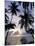 Sunset Framed by Palms, Patong, Phuket, Thailand, Southeast Asia, Aisa-Ruth Tomlinson-Mounted Photographic Print