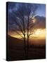 Sunset from Appalachian Trail, Shenandoah National Park, Virginia, USA-Charles Gurche-Stretched Canvas