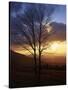 Sunset from Appalachian Trail, Shenandoah National Park, Virginia, USA-Charles Gurche-Stretched Canvas