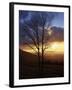 Sunset from Appalachian Trail, Shenandoah National Park, Virginia, USA-Charles Gurche-Framed Premium Photographic Print