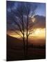 Sunset from Appalachian Trail, Shenandoah National Park, Virginia, USA-Charles Gurche-Mounted Premium Photographic Print