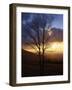 Sunset from Appalachian Trail, Shenandoah National Park, Virginia, USA-Charles Gurche-Framed Photographic Print