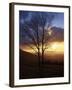 Sunset from Appalachian Trail, Shenandoah National Park, Virginia, USA-Charles Gurche-Framed Photographic Print