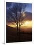 Sunset from Appalachian Trail, Shenandoah National Park, Virginia, USA-Charles Gurche-Framed Photographic Print