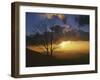 Sunset from Appalachian Trail, Shenandoah National Park, Virginia, USA-Charles Gurche-Framed Premium Photographic Print