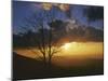 Sunset from Appalachian Trail, Shenandoah National Park, Virginia, USA-Charles Gurche-Mounted Photographic Print