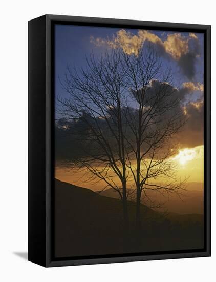 Sunset from Appalachian Trail, Shenandoah National Park, Virginia, USA-Charles Gurche-Framed Stretched Canvas