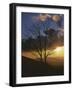 Sunset from Appalachian Trail, Shenandoah National Park, Virginia, USA-Charles Gurche-Framed Photographic Print