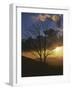 Sunset from Appalachian Trail, Shenandoah National Park, Virginia, USA-Charles Gurche-Framed Photographic Print