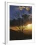 Sunset from Appalachian Trail, Shenandoah National Park, Virginia, USA-Charles Gurche-Framed Photographic Print