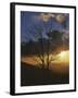 Sunset from Appalachian Trail, Shenandoah National Park, Virginia, USA-Charles Gurche-Framed Photographic Print